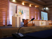 Conference of the Parties to the Convention on Biological Diversity COP 13