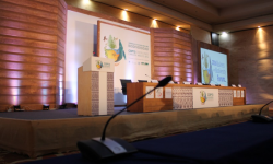 Conference of the Parties to the Convention on Biological Diversity COP 13
