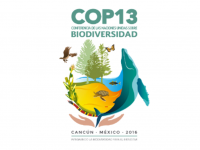 Conference of the Parties to the Convention on Biological Diversity COP 13