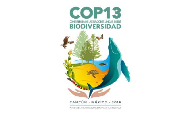 Conferencia de las Partes en el Convenio de la Diversidad Biologica COP 13