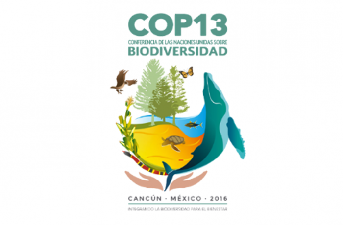 Conference of the Parties to the Convention on Biological Diversity COP 13